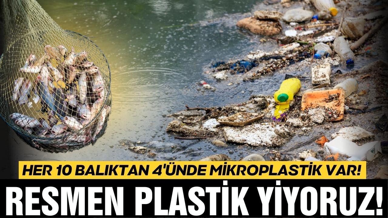 Marmara denizinde kirlilik önlenemiyor