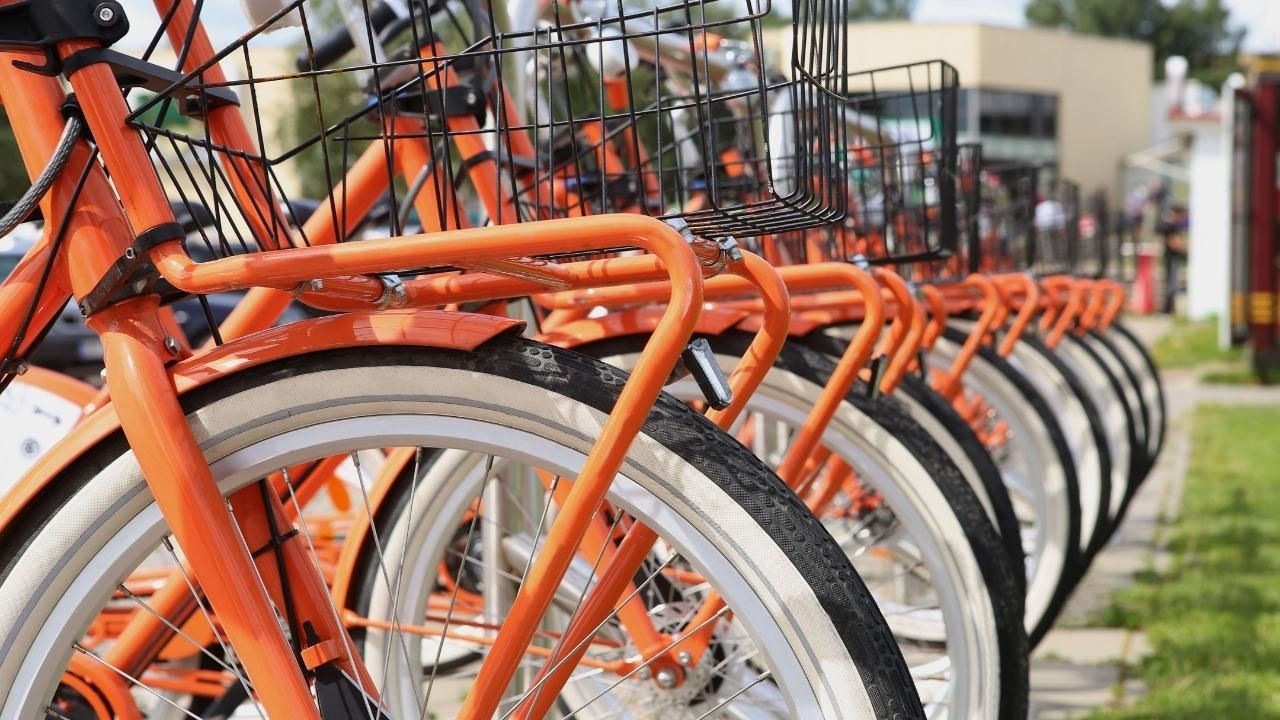 İşe bisikletle giderek ayda 7 bin TL kazanıyorlar! - Sayfa 7