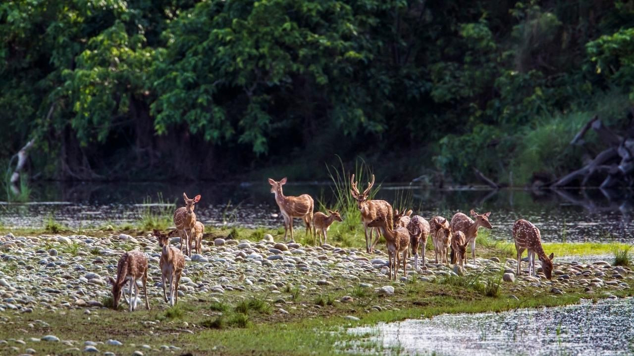 Dünyanın en büyük Milli Parkları! - Sayfa 9