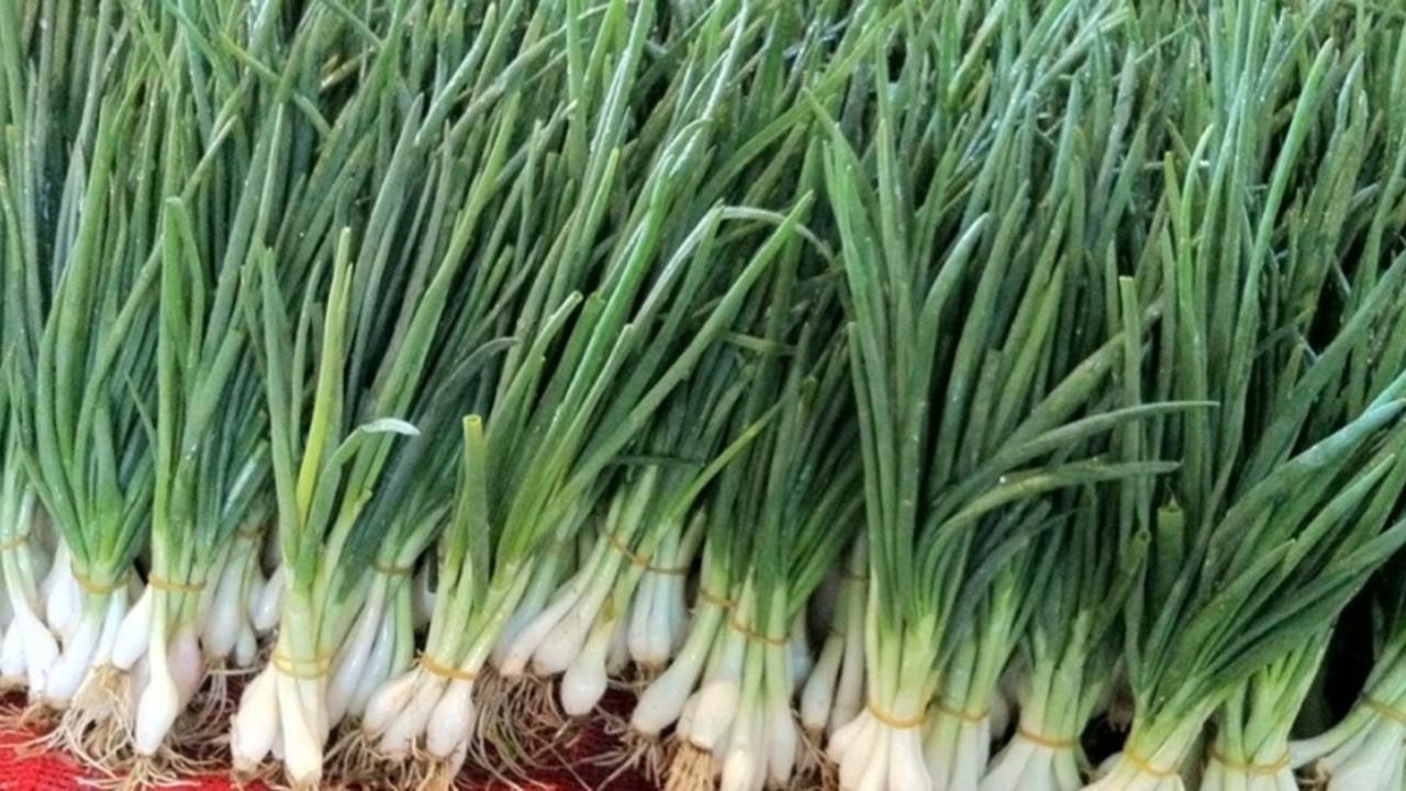 TDK, bazı sözcüklerin yazımını değiştirdi! - Sayfa 13