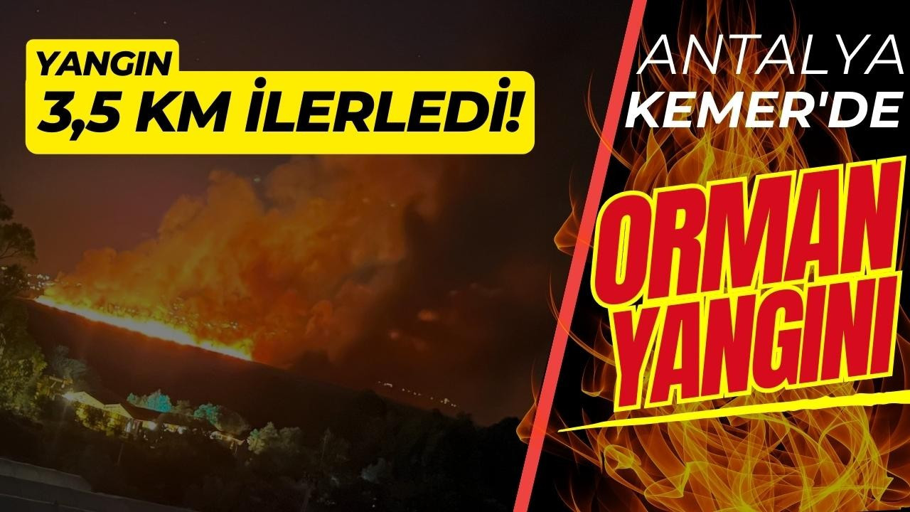 Antalya'nın Kemer ilçesinde orman yangını çıktı
