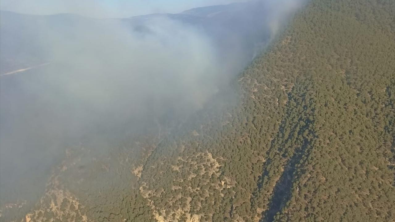 Bolu'da orman yangını!