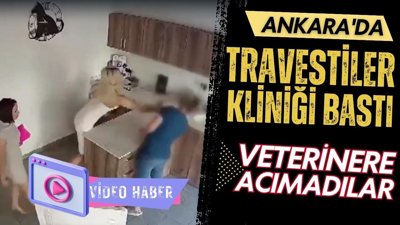 Ankara'da travestiler veterineri bastı!