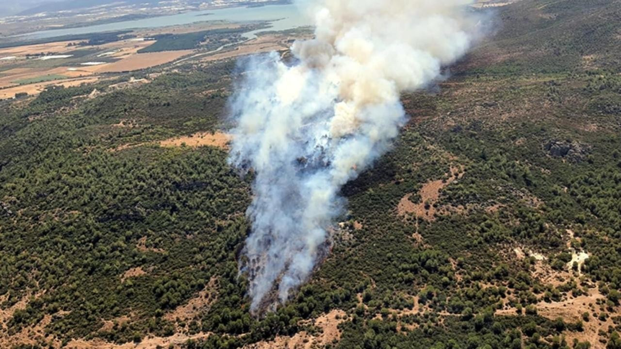 İzmir'de orman yangını!