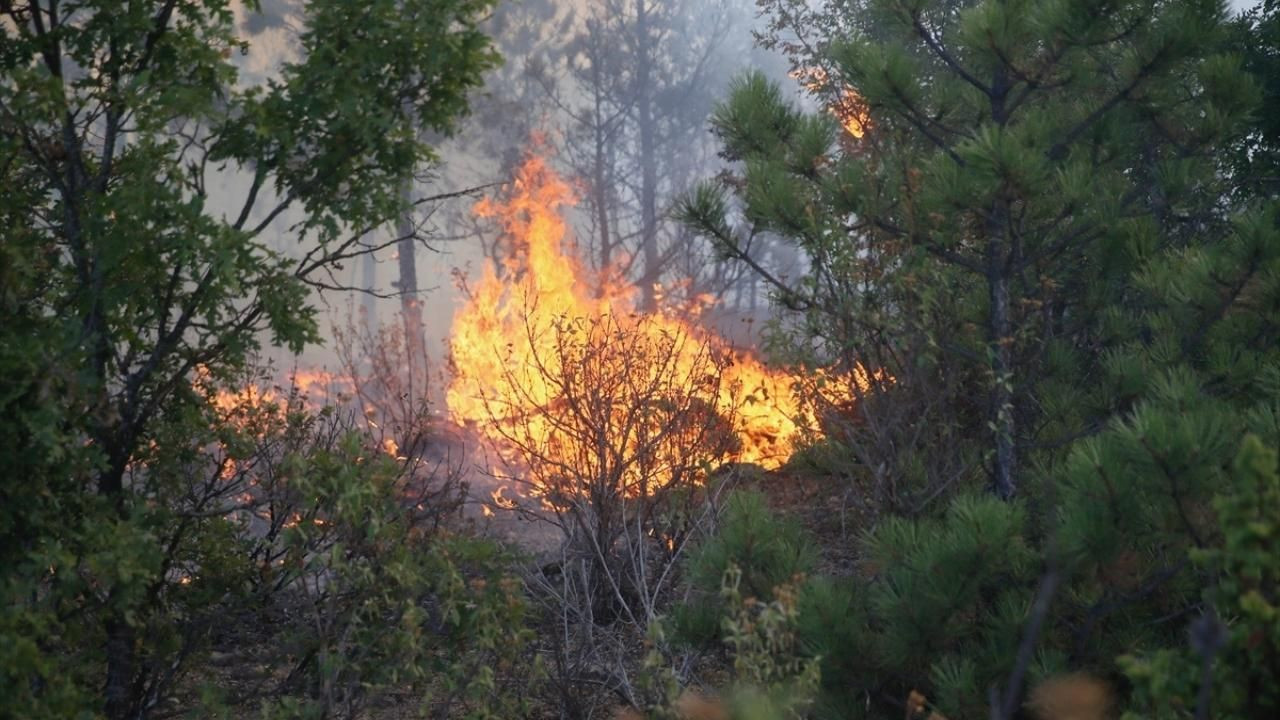  Eskişehir'de orman yangını: Müdahale sürüyor! - Sayfa 2
