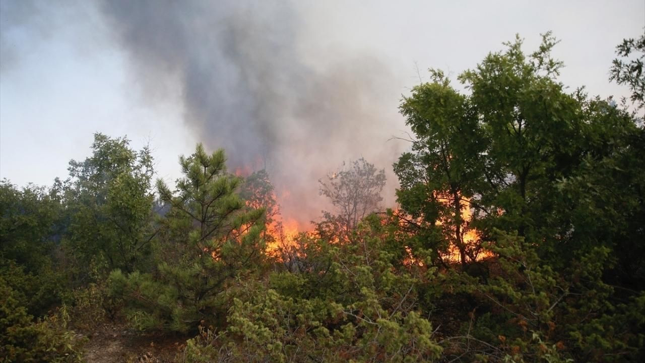  Eskişehir'de orman yangını: Müdahale sürüyor! - Sayfa 3