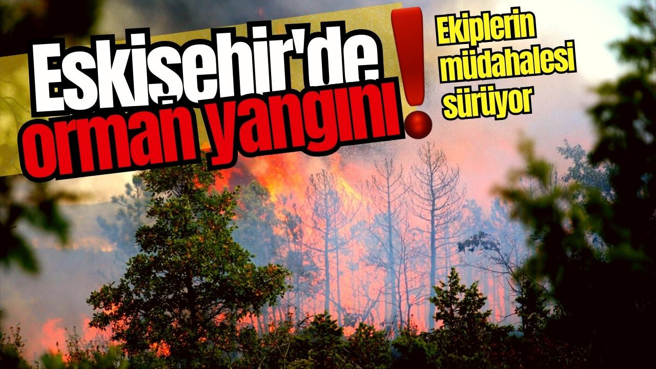  Eskişehir'de orman yangını: Müdahale sürüyor!