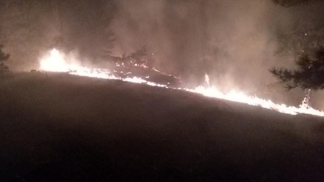 Muğla Köyceğiz'de orman yangını!