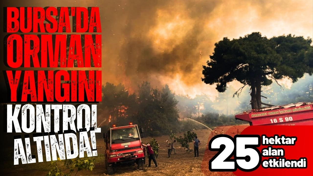Bursa'daki orman yangını kontrol altında!