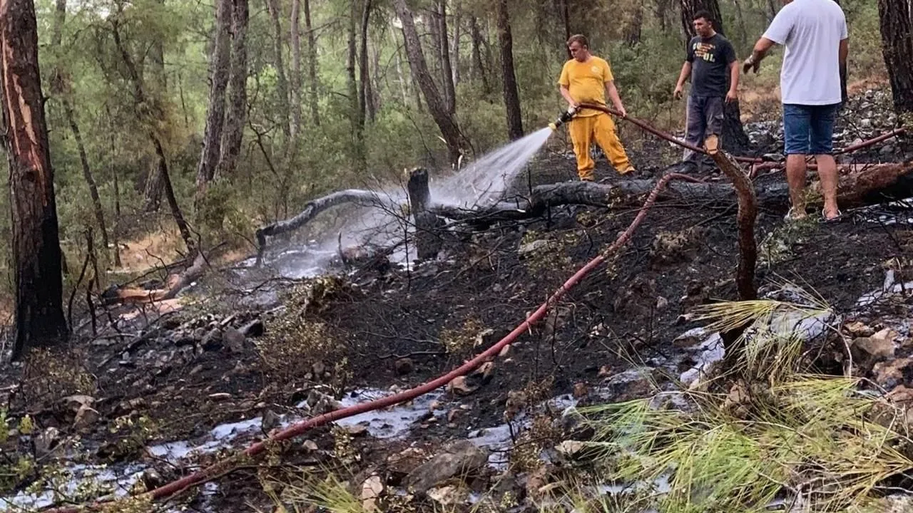 Muğla'da 1 günde düşen yıldırımlar nedeniyle 36 yangın çıktı