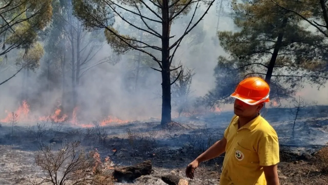 Muğla'da 1 günde düşen yıldırımlar nedeniyle 36 yangın çıktı