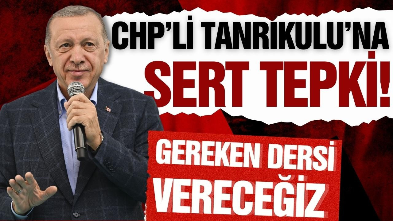 Erdoğan'dan Sezgin Tanrıkulu'na sert tepki