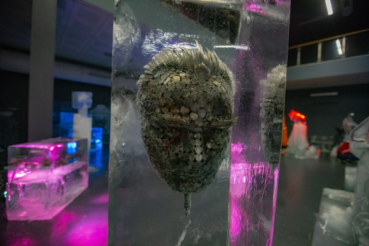 Erzurum'daki Buz Müzesi, yoğun ilgi görüyor! - Sayfa 11