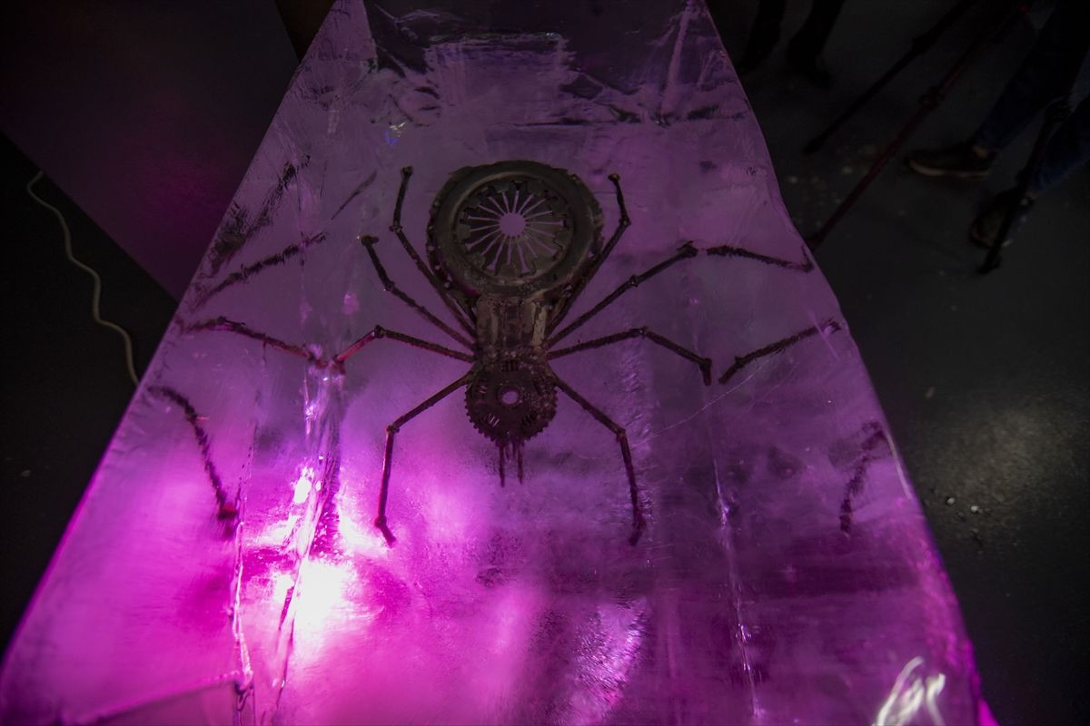 Erzurum'daki Buz Müzesi, yoğun ilgi görüyor! - Sayfa 9