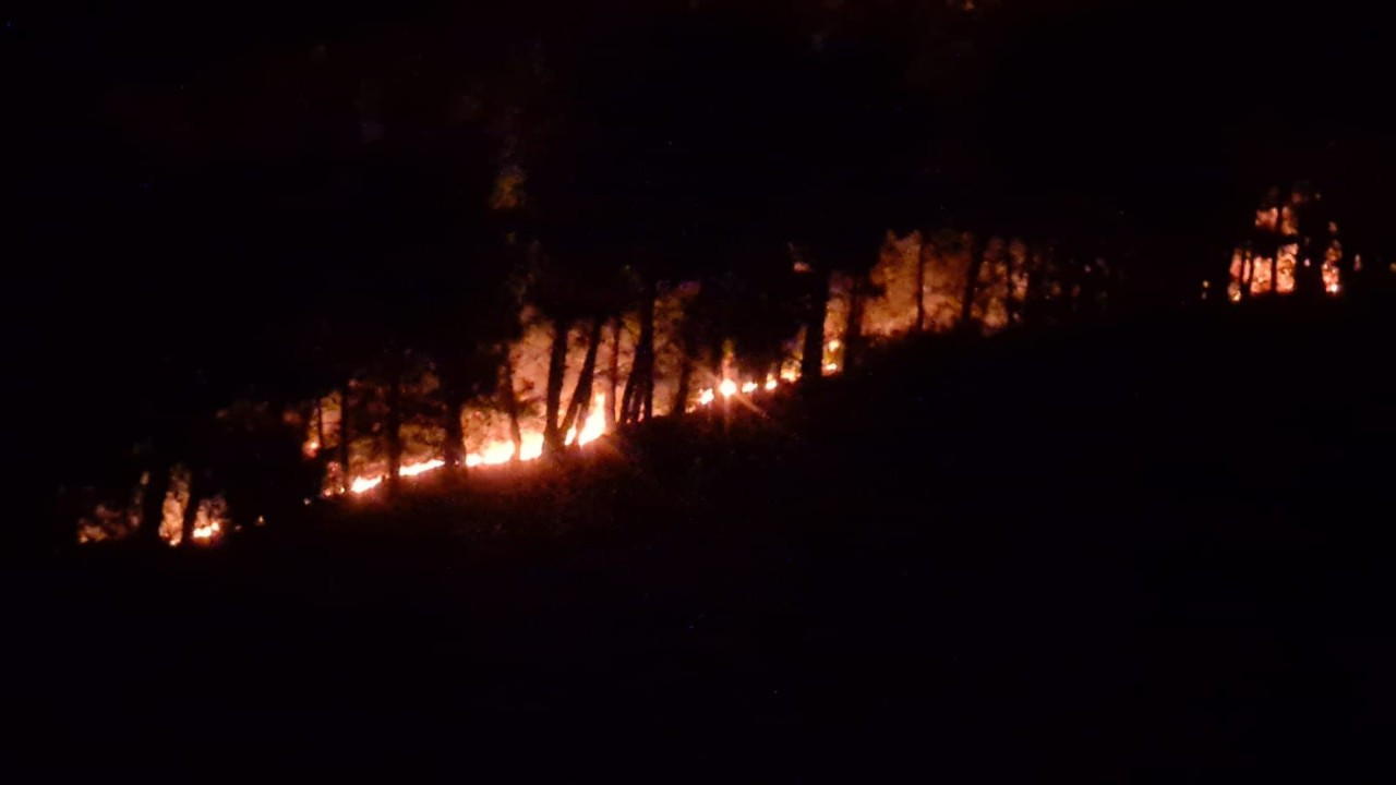 Adana'da orman yangını kontrol altına alındı!