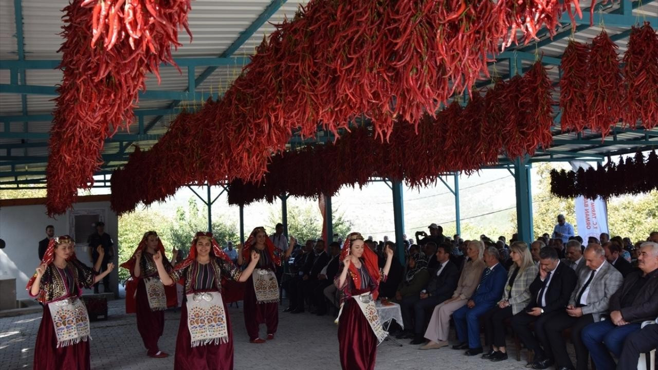 Bilecik Çukurören’de biber şenliği düzenlendi!