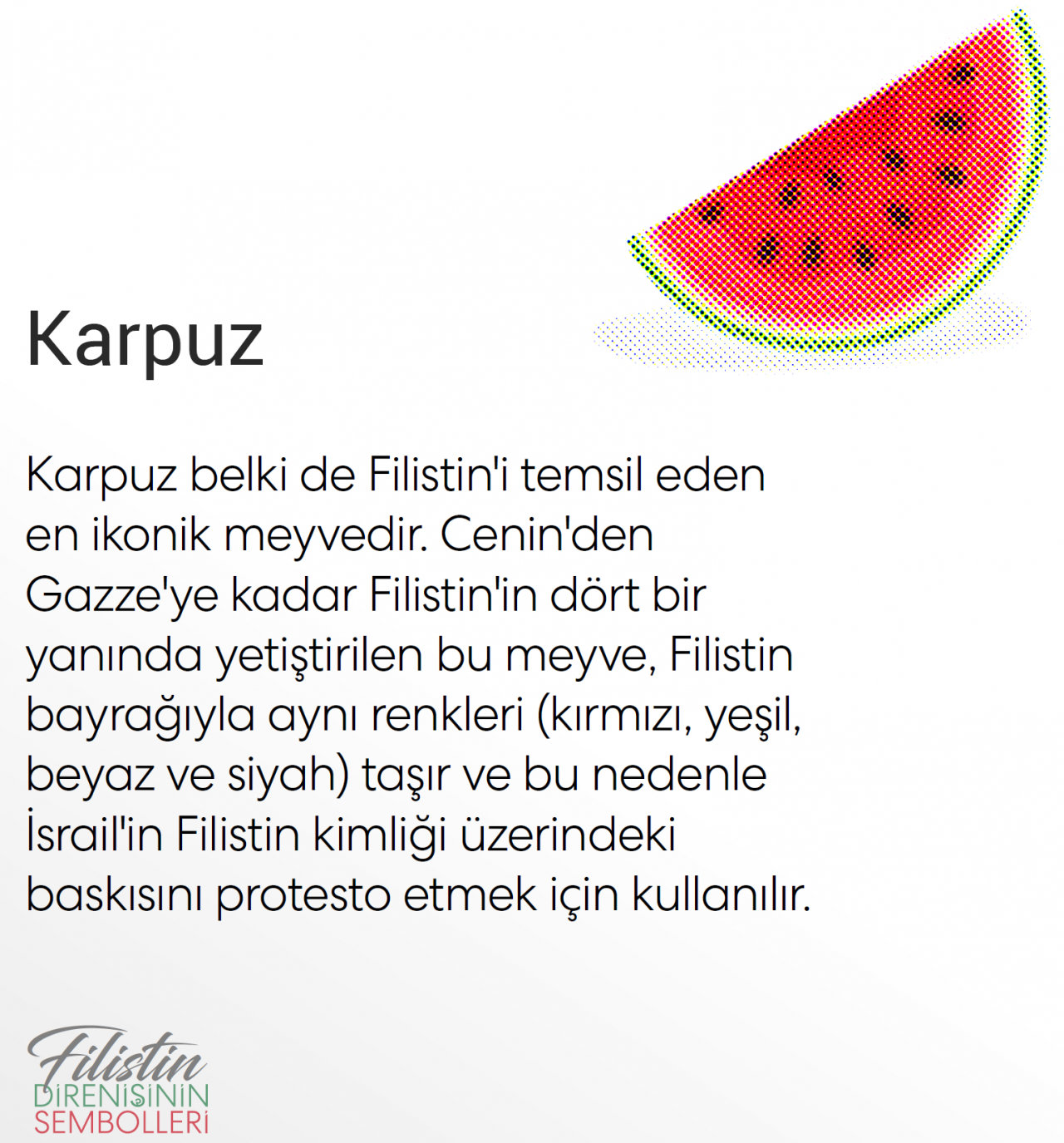 Filistin direnişinin sembolleri... - Sayfa 2