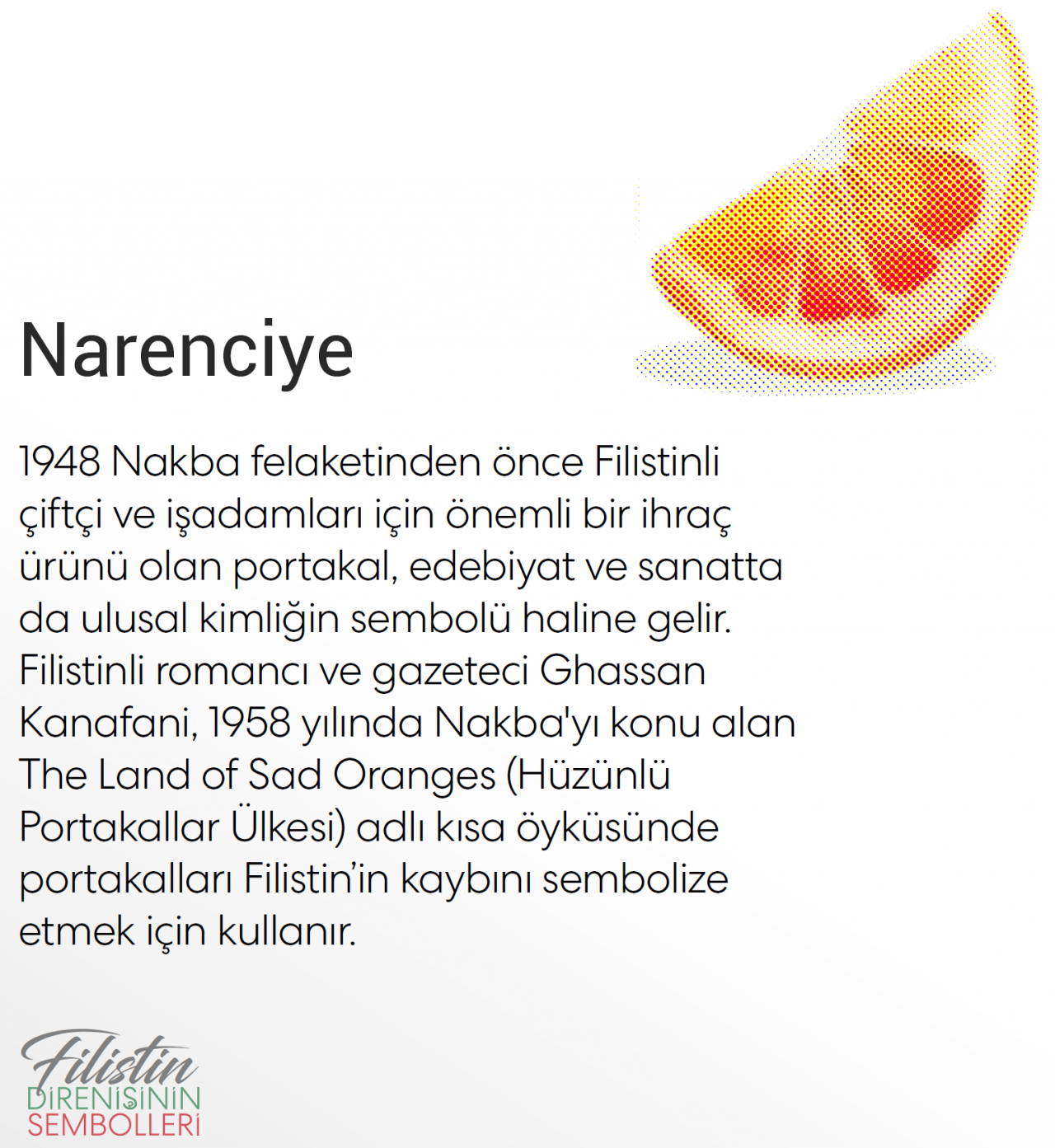 Filistin direnişinin sembolleri... - Sayfa 3