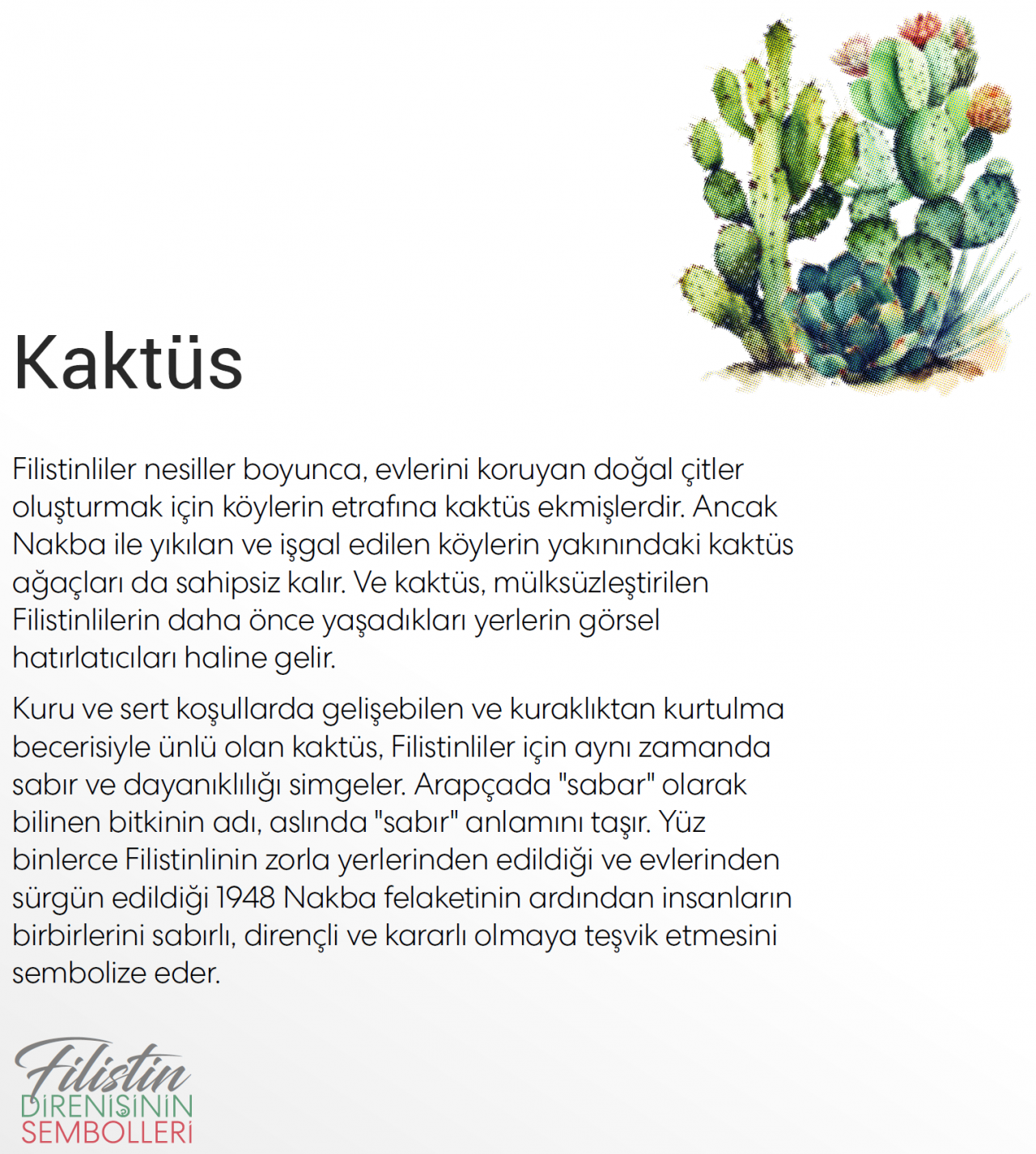 Filistin direnişinin sembolleri... - Sayfa 6