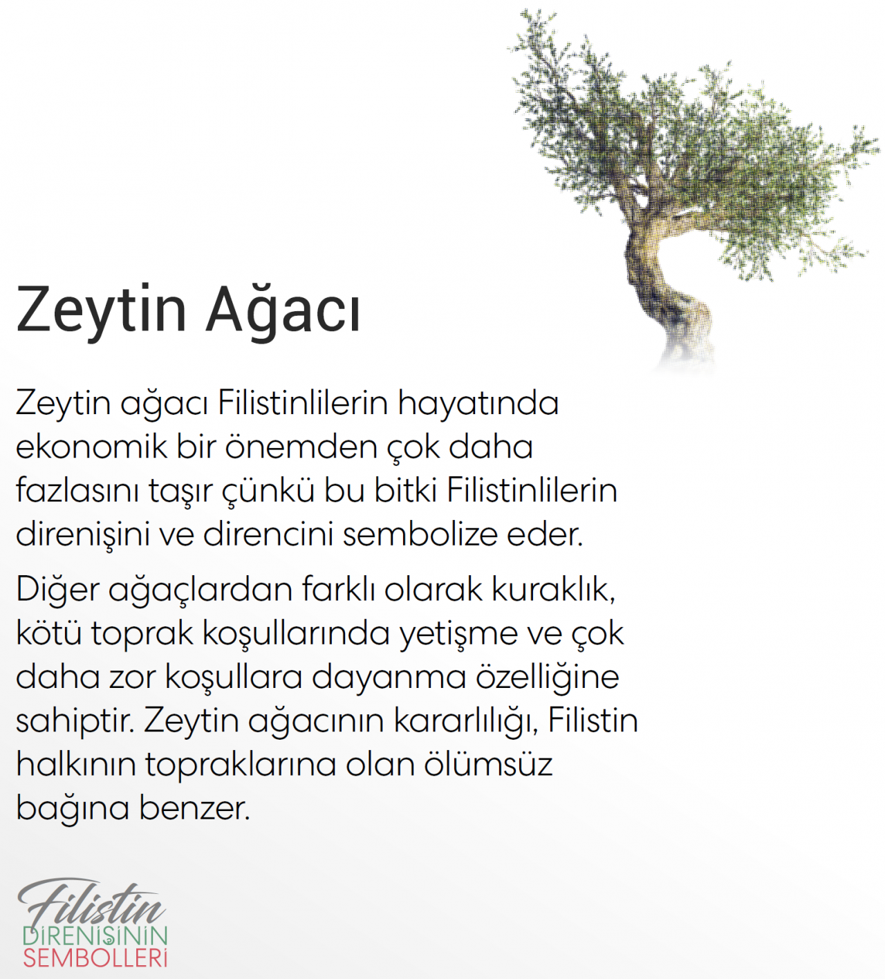 Filistin direnişinin sembolleri... - Sayfa 8