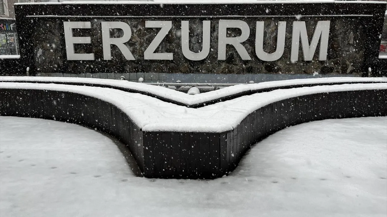 Doğu Anadolu'da kar ve soğuk hava etkili oluyor