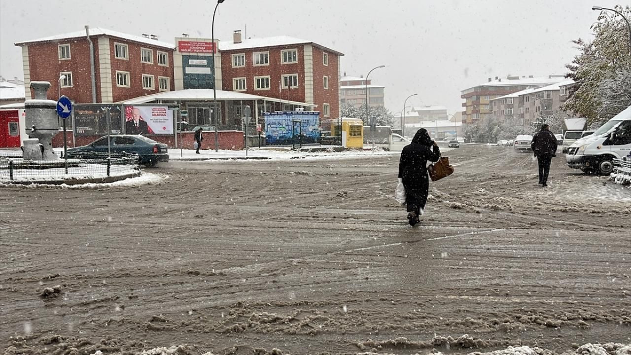 Doğu Anadolu'da kar ve soğuk hava etkili oluyor - Sayfa 2