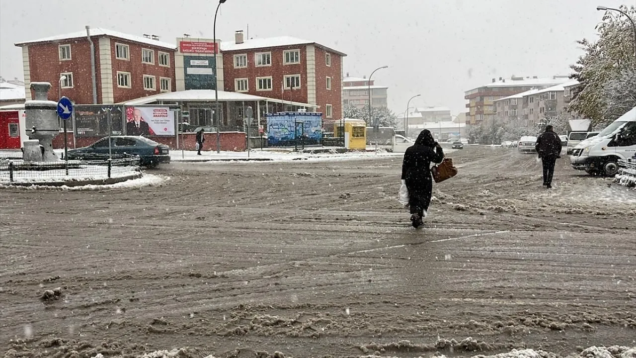 Doğu Anadolu'da kar ve soğuk hava etkili oluyor