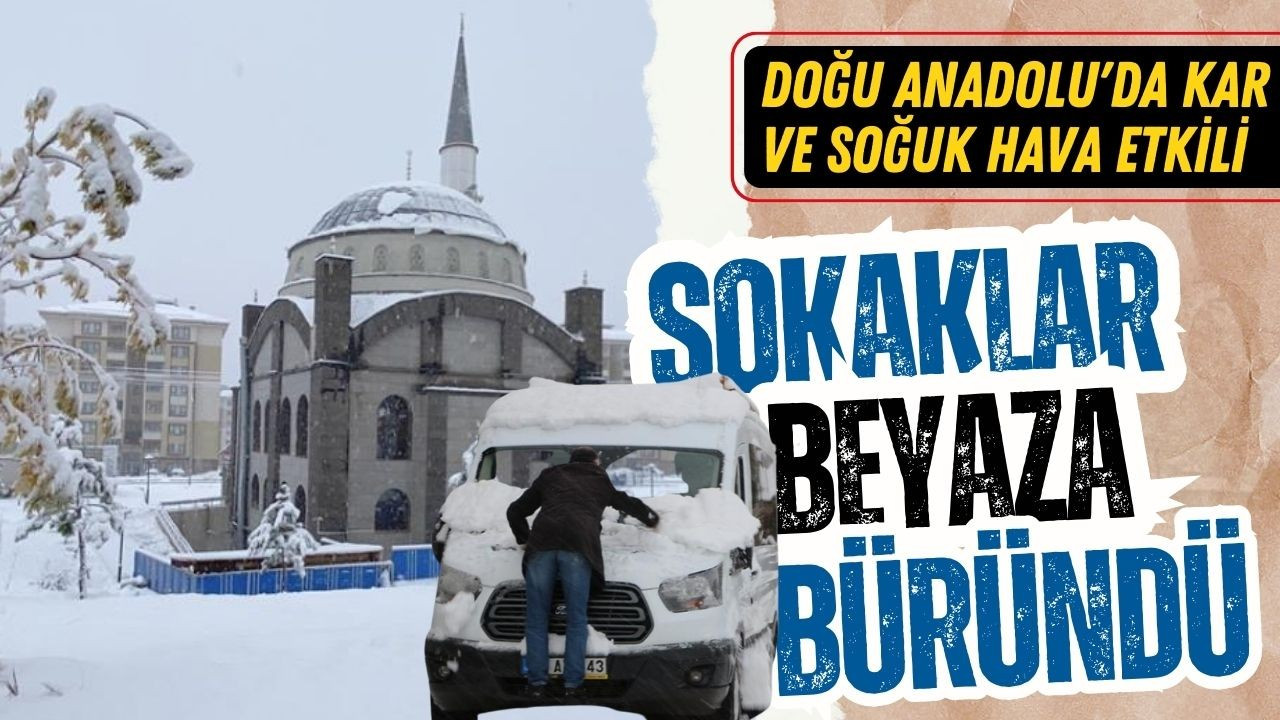 Doğu Anadolu'da kar ve soğuk hava