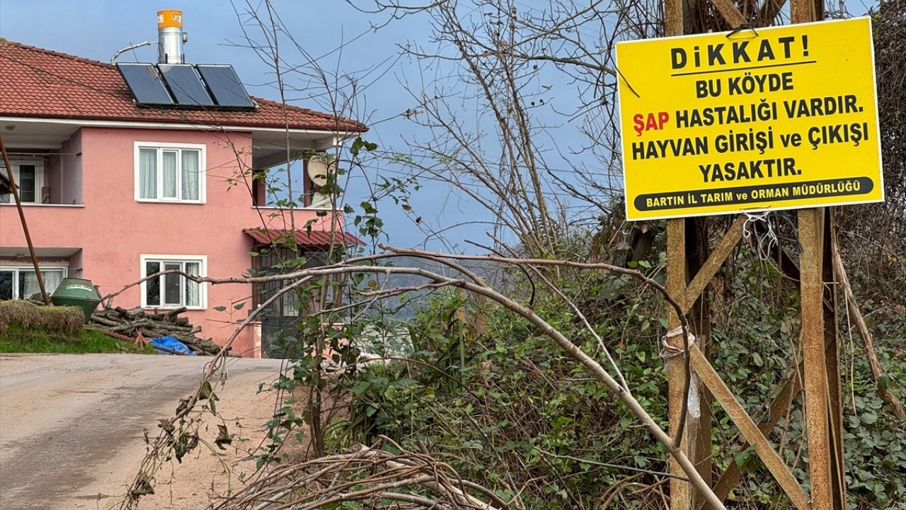 Bartın'da 12 köyde şap karantinası başlatıldı
