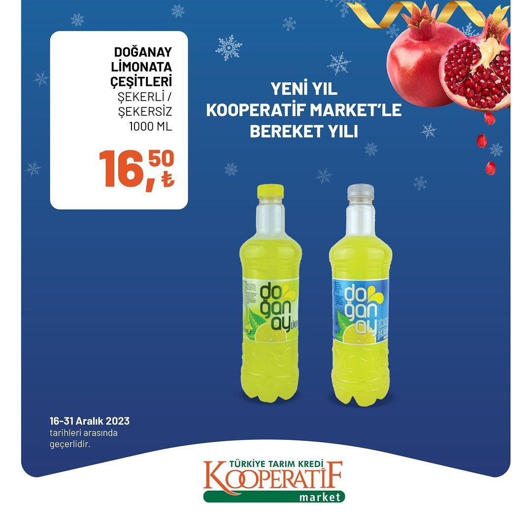 Tarım Kredi'de yılın son indirimleri! - Sayfa 31