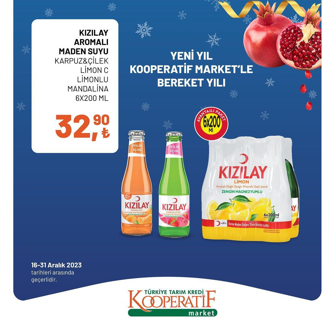 Tarım Kredi'de yılın son indirimleri! - Sayfa 33