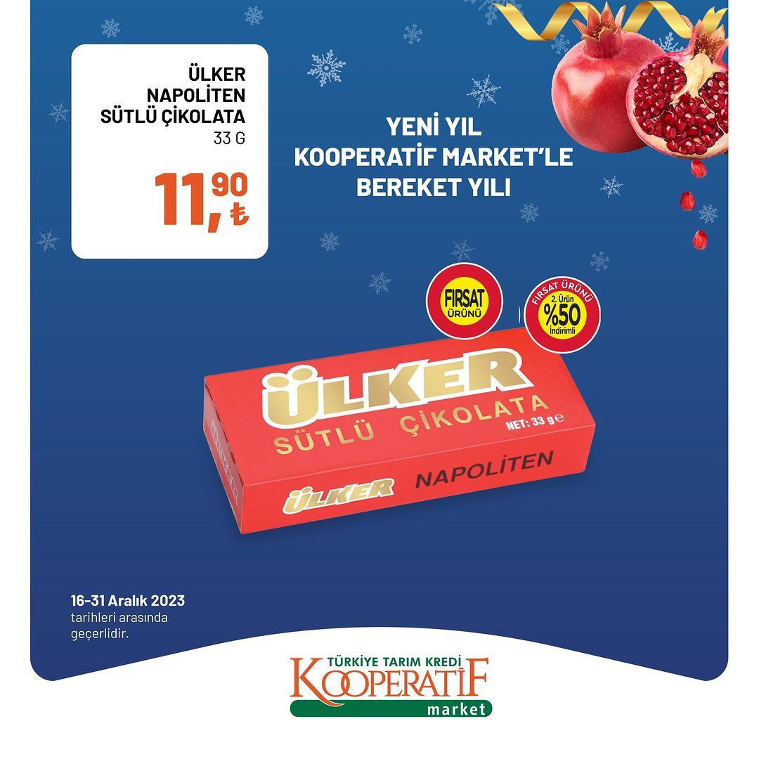 Tarım Kredi'de yılın son indirimleri! - Sayfa 21