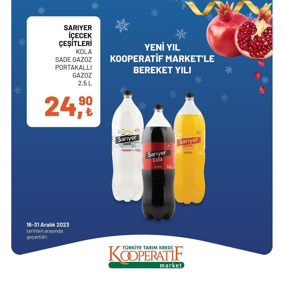 Tarım Kredi'de yılın son indirimleri! - Sayfa 37