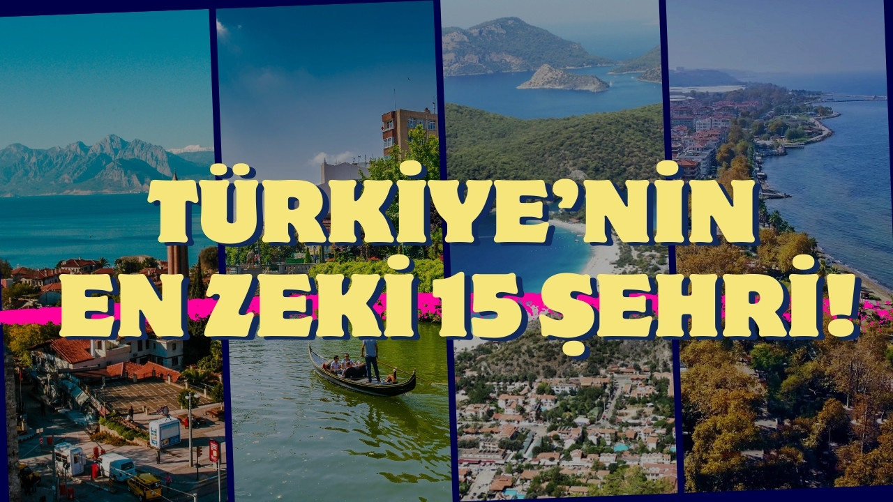 Türkiye'nin en zeki 15 şehri!