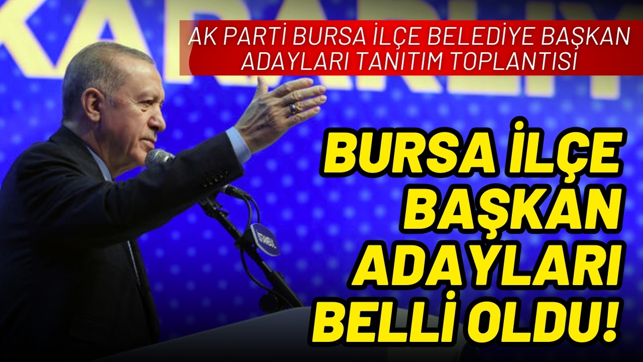 AK Parti Bursa İlçe Belediye Başkan Adayları!