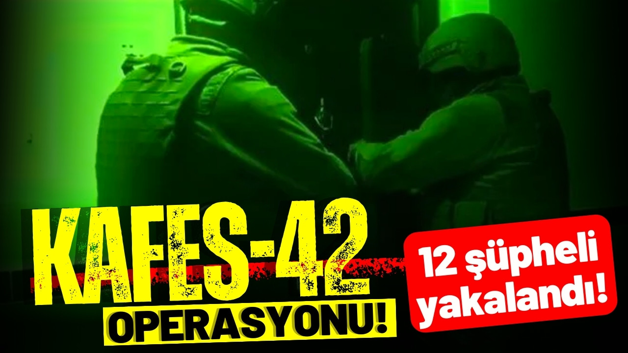 "Kafes-42" operasyonu: 12 şüpheli yakalandı