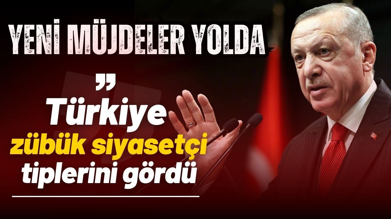 Cumhurbaşkanı Erdoğan: Türkiye zübük siyasetçi tiplerini gördü