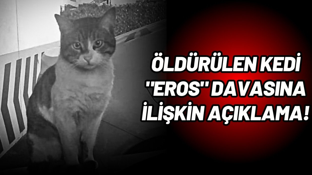 Öldürülen kedi "Eros" davasına ilişkin açıklama!