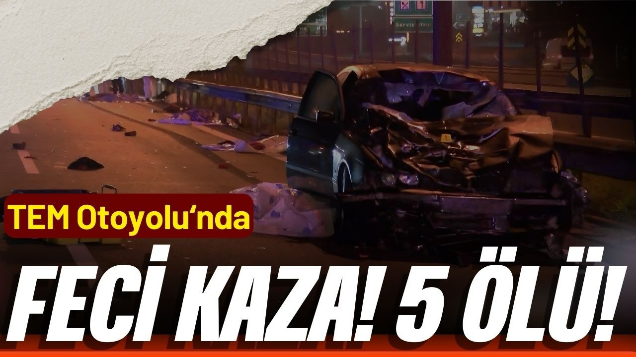 TEM Otoyolu'nda feci kaza: 5 ölü!