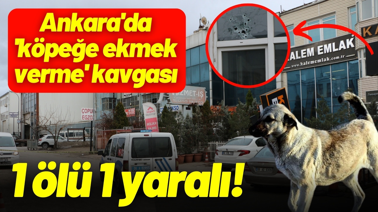 Ankara'da 'köpeğe ekmek verme' kavgası: 1 ölü!