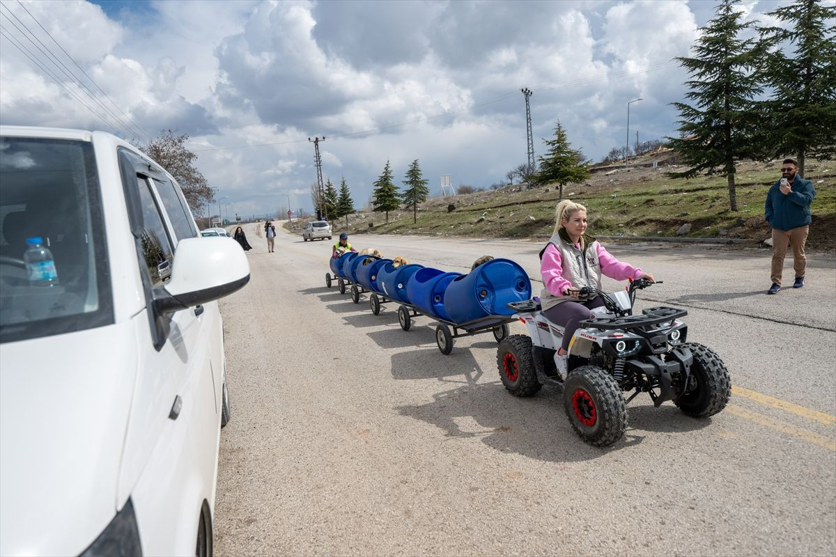 Engelli köpeklere özel tur! - Sayfa 8
