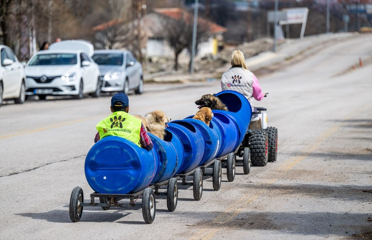 Engelli köpeklere özel tur! - Sayfa 7