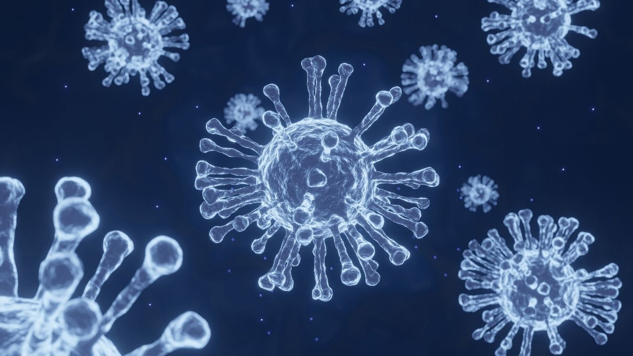 Japonya'da yeni salgın: Strep A virüsü - Sayfa 1
