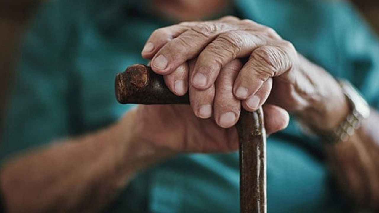 Türkiye, artık çok yaşlı nüfuslu ülke statüsünde! - Sayfa 6