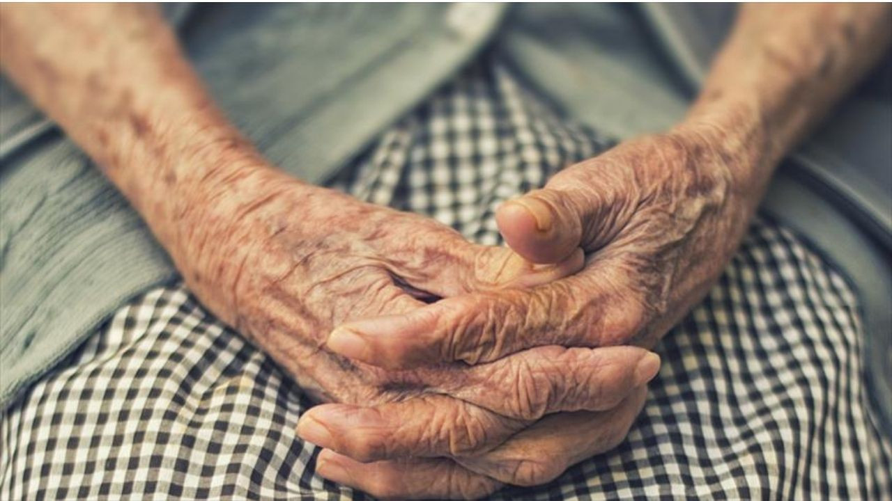 Türkiye, artık çok yaşlı nüfuslu ülke statüsünde! - Sayfa 12