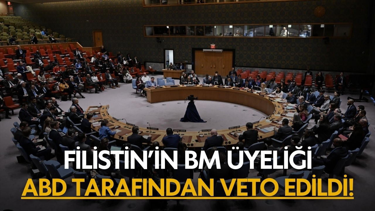 Filistin'in BM üyeliği, ABD tarafından veto edildi