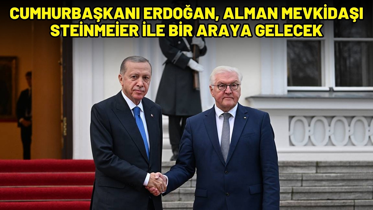 Erdoğan, Alman mevkidaşı ile görüşecek
