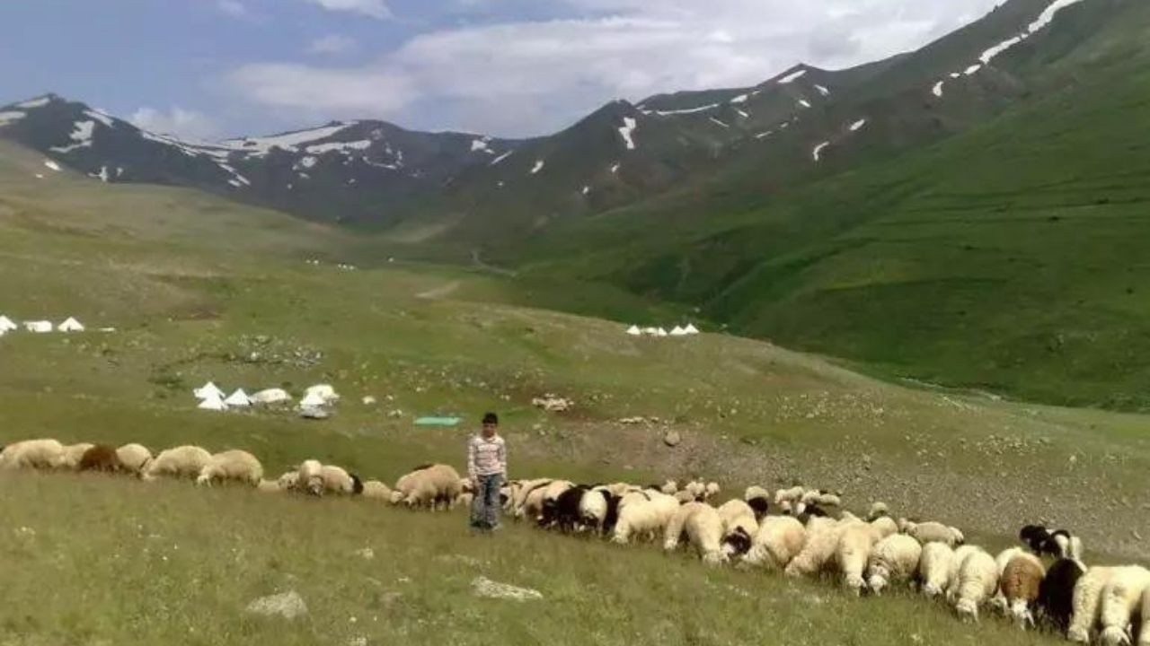 Maaşı 100 bin TL olan o meslekte çalışacak eleman bulunamıyor! - Sayfa 1