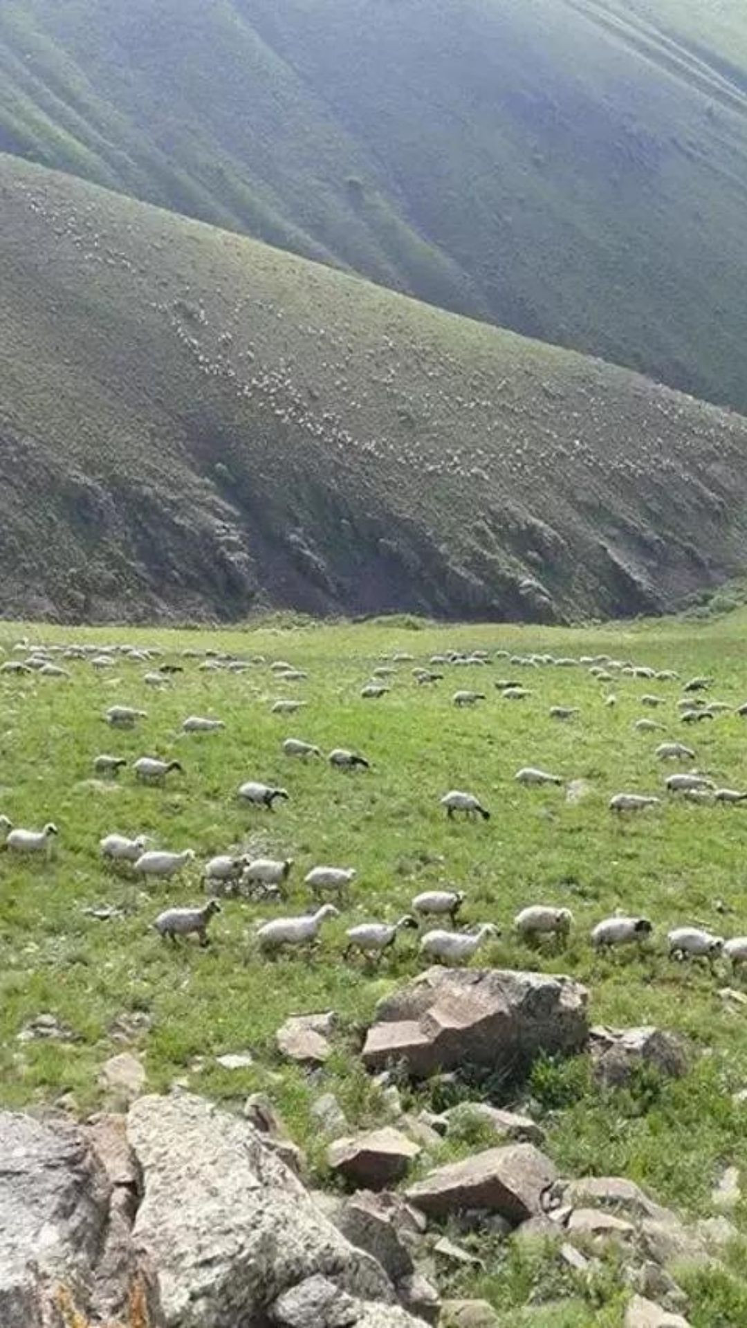 Maaşı 100 bin TL olan o meslekte çalışacak eleman bulunamıyor! - Sayfa 4