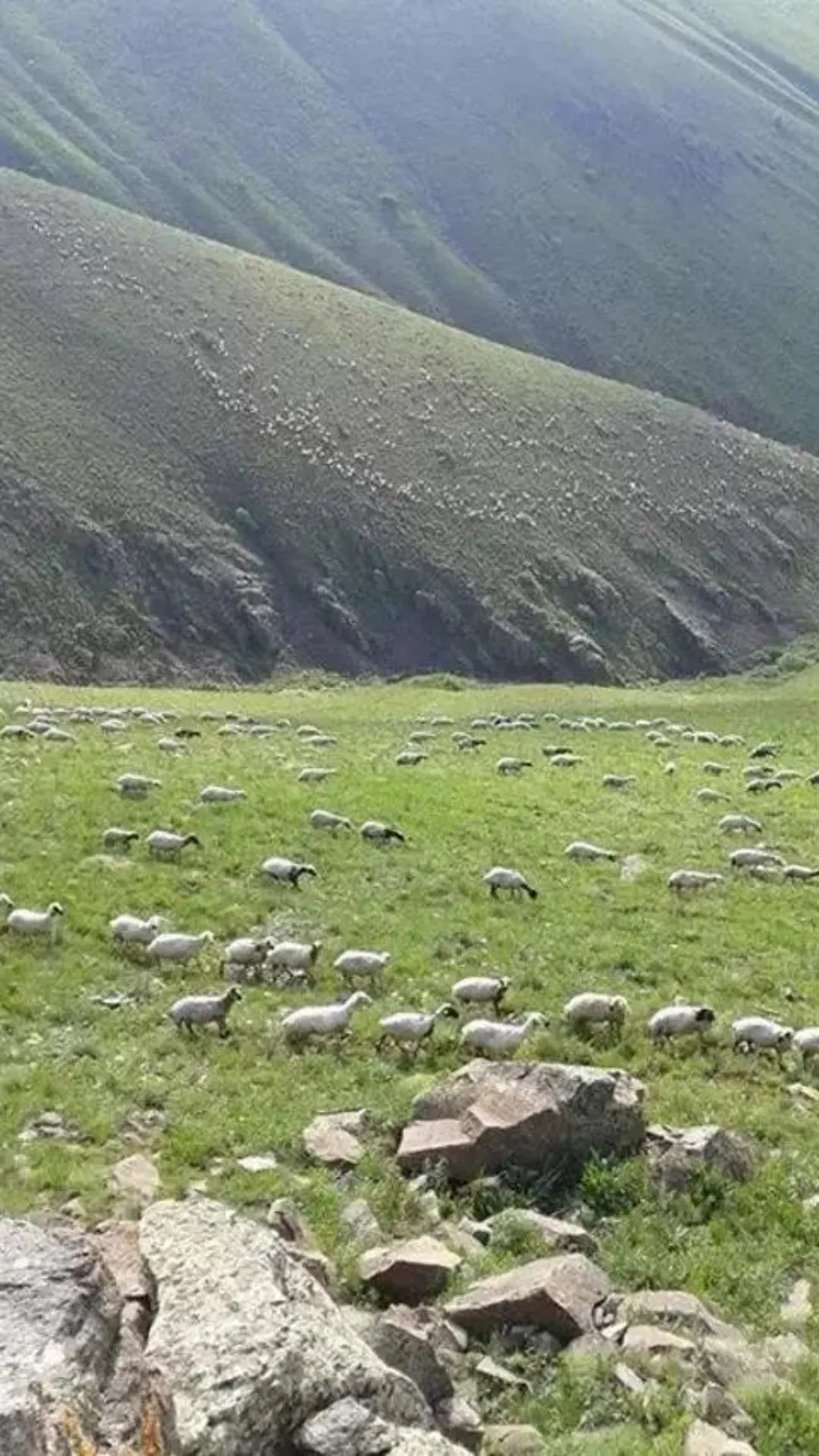 Maaşı 100 bin TL olan o meslekte çalışacak eleman bulunamıyor!